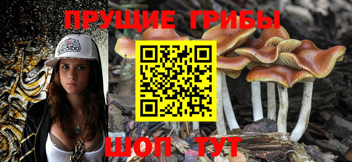 Псилоцибиновые грибы MAGIC MUSHROOMS Елец